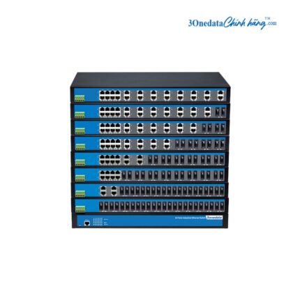 3onedata IES5024